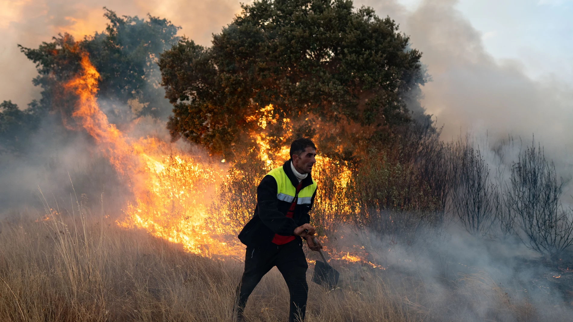 Una persona trata de apagar el fuego, a 12 de agosto de 2025, en Abejera, Zamora, Castilla y León (España). Uno de los voluntarios que trabajaba en el operativo del incendio de Molezuelas de la Carballeda (Zamora) ha fallecido este martes debido a las heridas provocadas por las quemaduras, según ha informado el delegado del Gobierno en Castilla y León, Nicanor Sen. Además del fallecido, otro varón, de unos 36 años, ha sido trasladado por una ambulancia de Emergencias Sanitarias al hospital de...