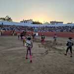 Alcántara revive su plaza de toros tras 30 años gracias al impulso de la Fundación Toro de Lidia