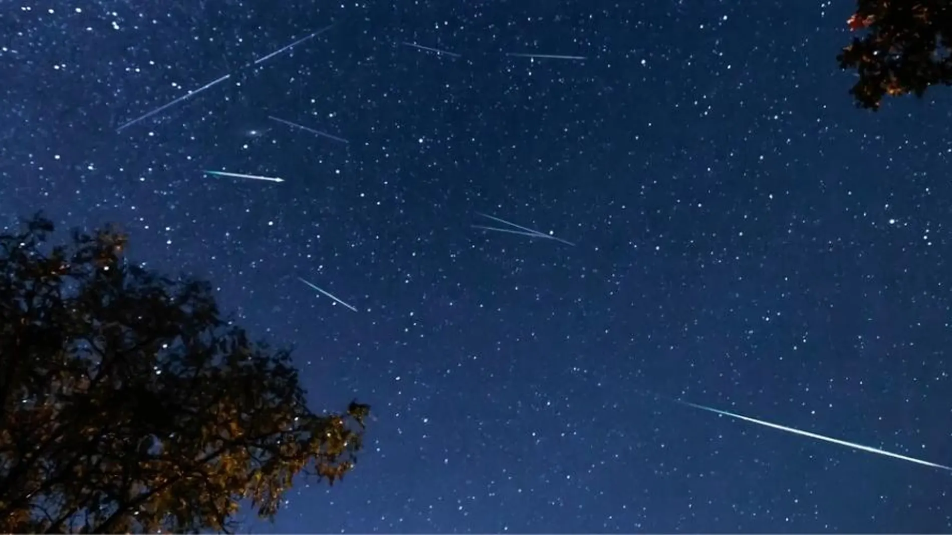 Perseidas