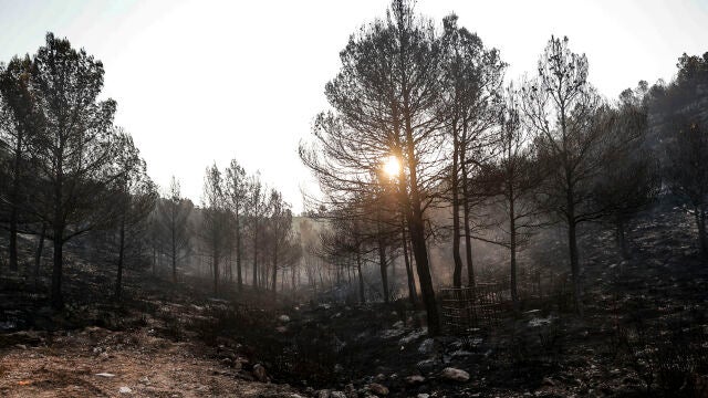Siete medios aéreos trabajan ya en el incendio de Teresa y se solicita uno más a Aragón