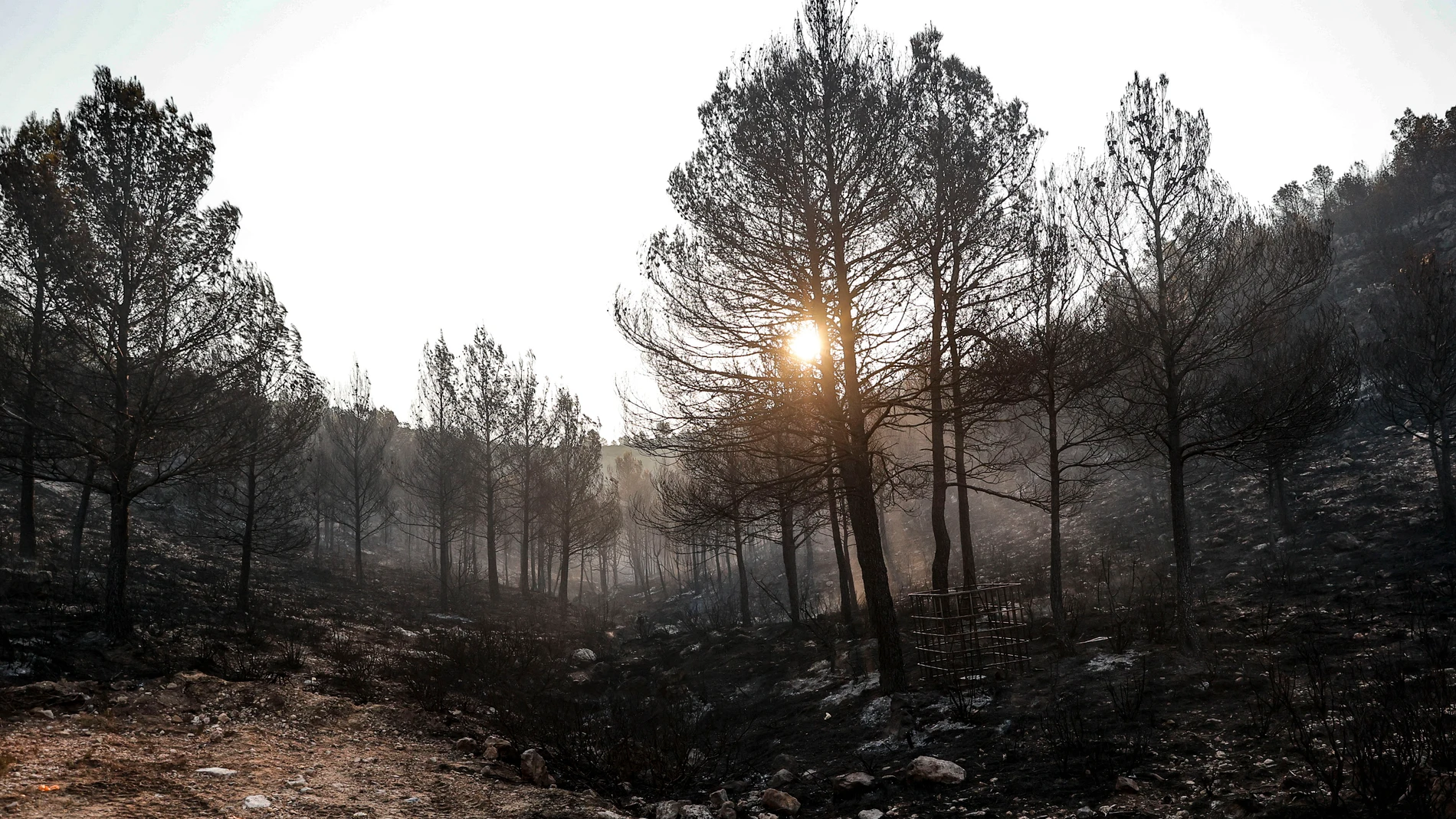 GRAFCVA8938. TERESA DE COFRENTES (VALENCIA), 14/08/2025.- Un total de siete medios aéreos se han incorporado esta mañana a las tareas de extinción del incendio forestal declarado la tarde de este miércoles en una zona de difícil acceso de Teresa de Cofrentes (interior sur de Valencia), iniciado por un rayo, y se ha solicitado un medio aéreo más a Aragón. En la imagen la zona incendiada a primera hora de este jueves. EFE/Manuel Bruque