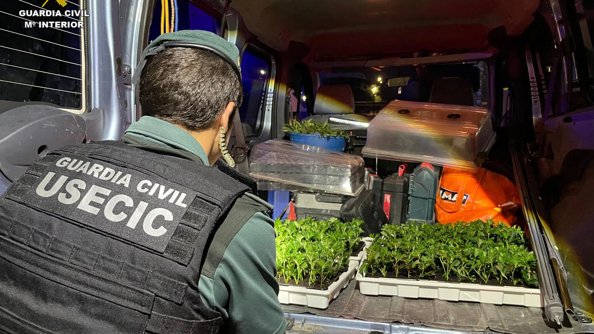 Un agente de la Guardia Civil localizando en el maletero del vehículo cuatro cajas de marihuana.