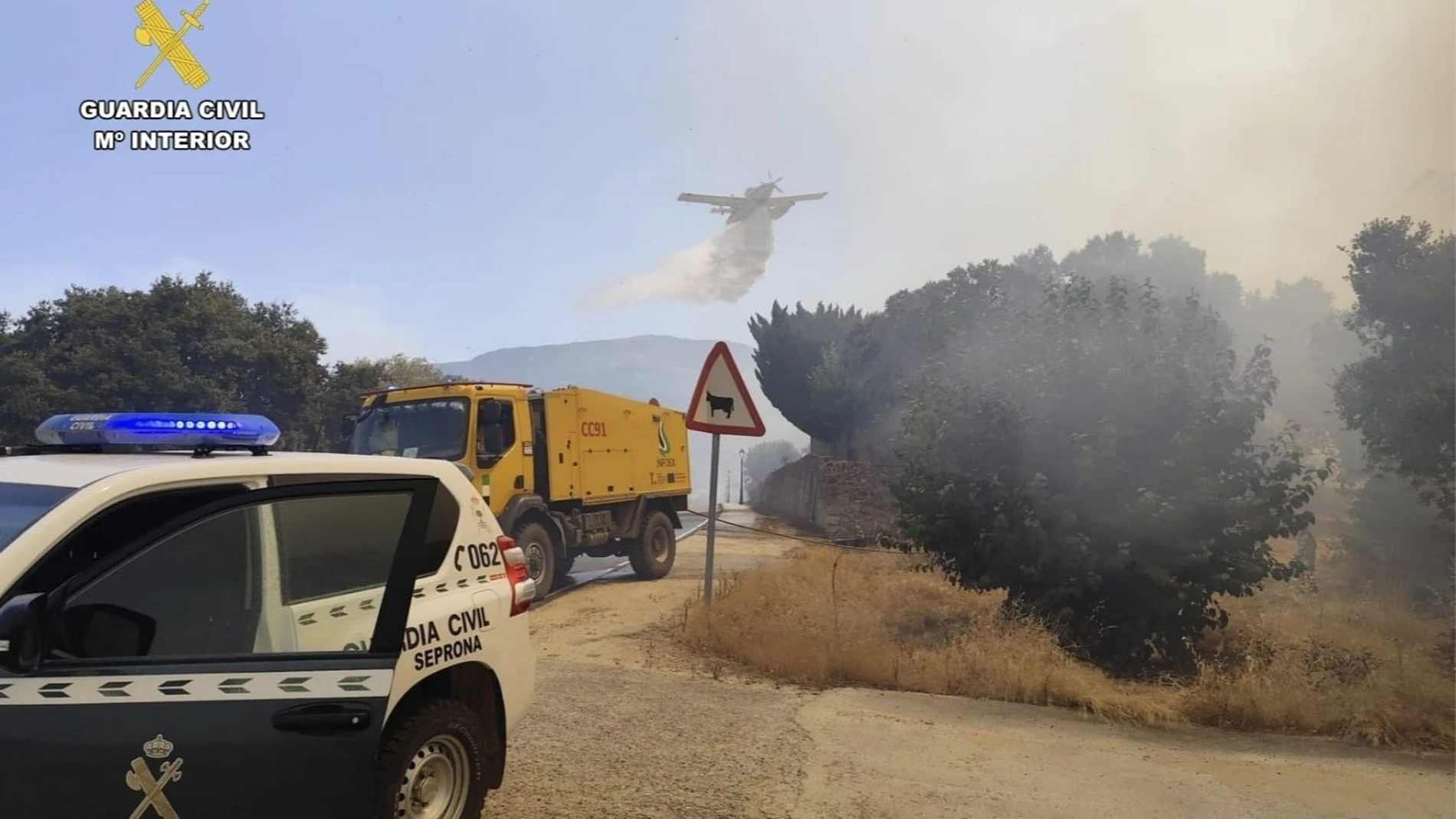 Efectivos de la Guardia Civil en el incendio REMITIDA / HANDOUT por Guardia Civil Fotografía remitida a medios de comunicación exclusivamente para ilustrar la noticia a la que hace referencia la imagen, y citando la procedencia de la imagen en la firma 14/08/2025