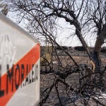 Terreno calcinado por el incendio.