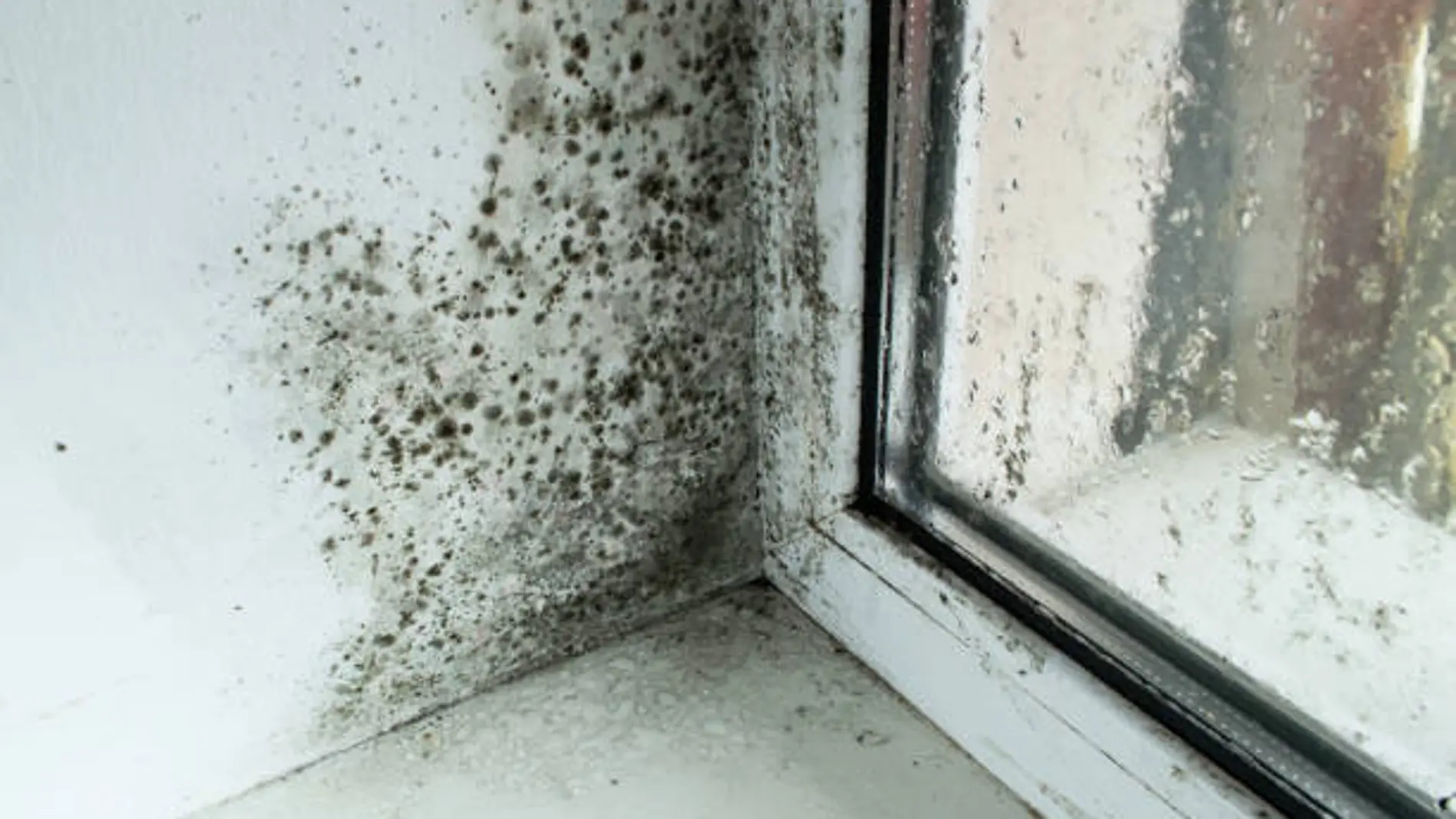 Cómo quitar el moho negro de la silicona de la cocina