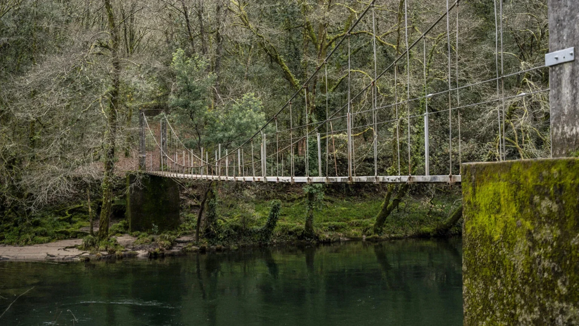 Puente colgante