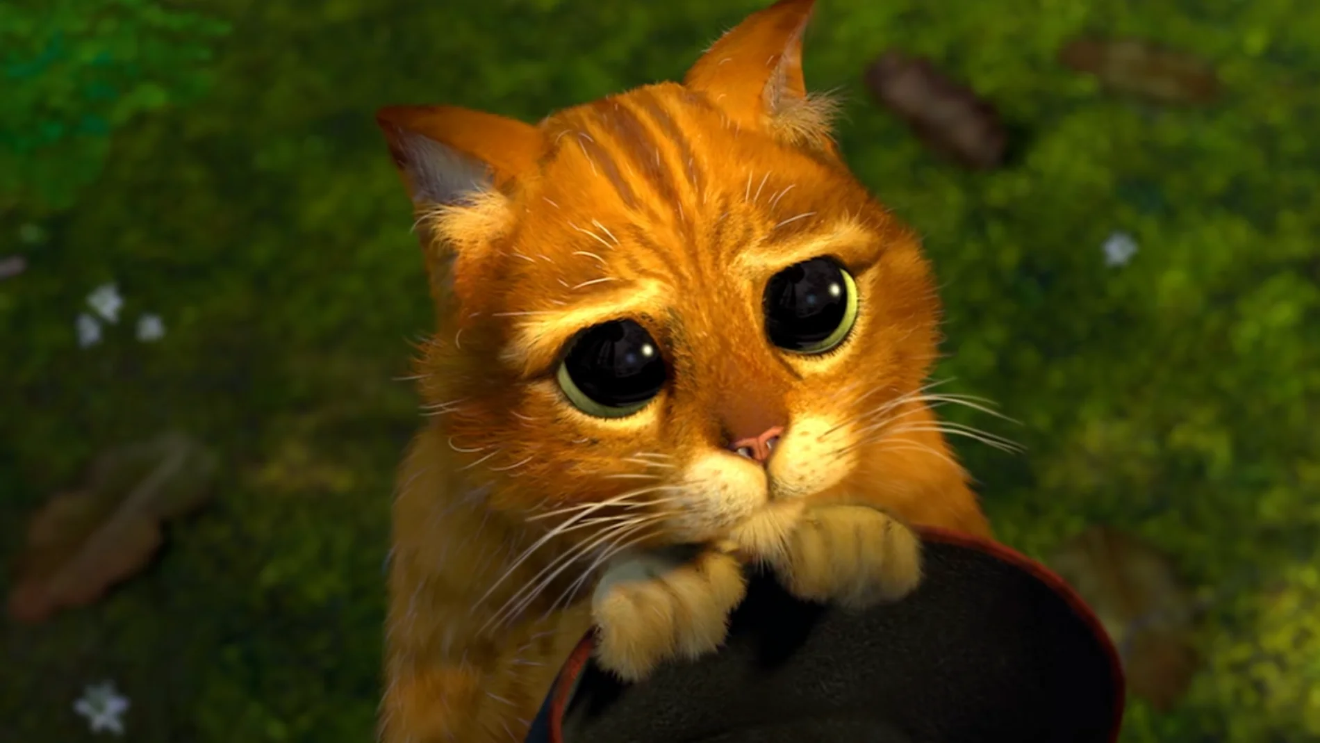 El Gato con Botas, un clásico de esta película