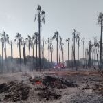Zona afectada por el incendio.