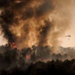 Forest fires in Portugal