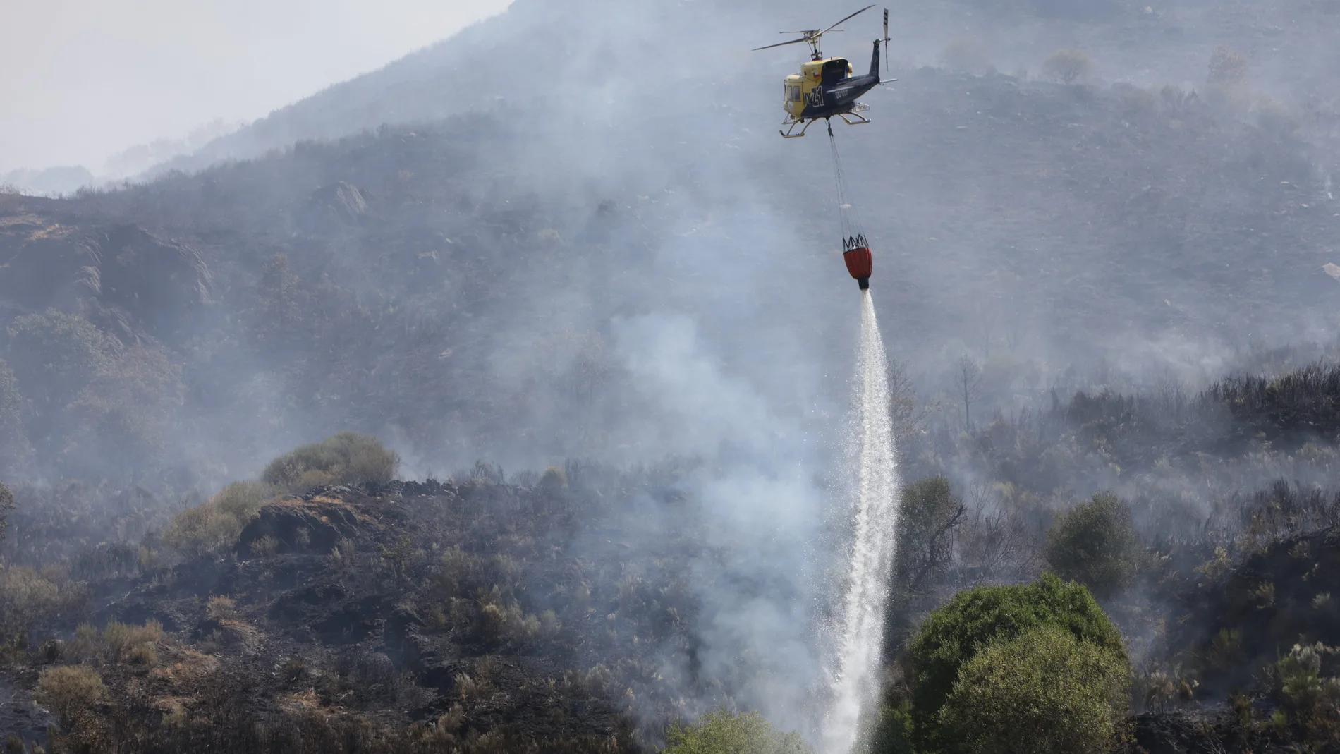 Tareas de extinción en el incendio de Porto (Zamora)