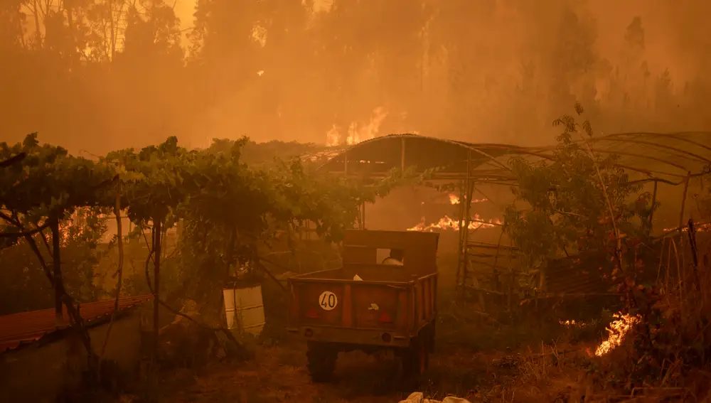 Incendio forestal en Carballeda de Avia (Ourense)