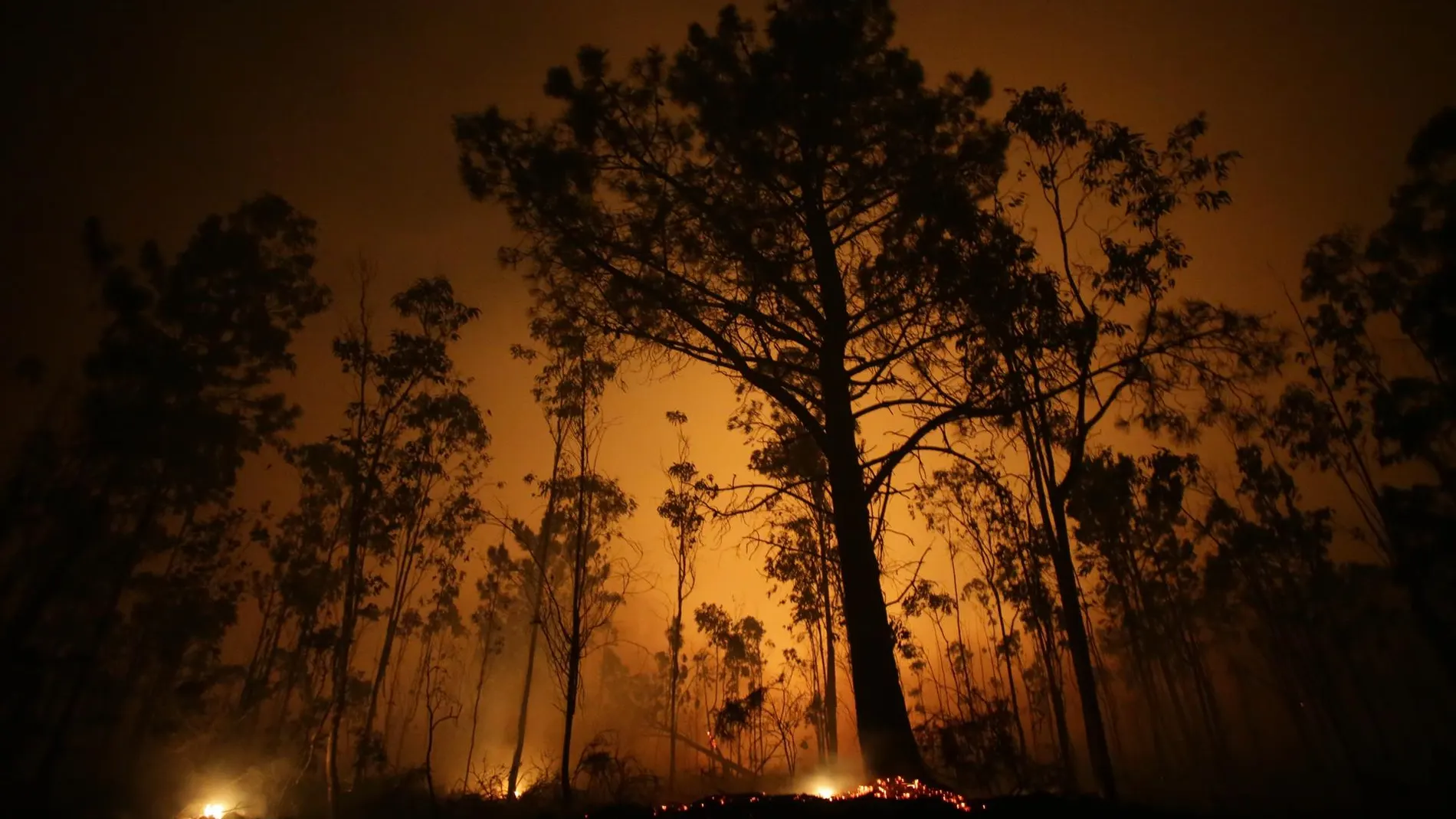 La Armada también se moviliza para luchar contra los incendios