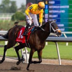 Kings Plate Horse Racing
