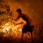 Incendio forestal de A Rúa (Ourense)