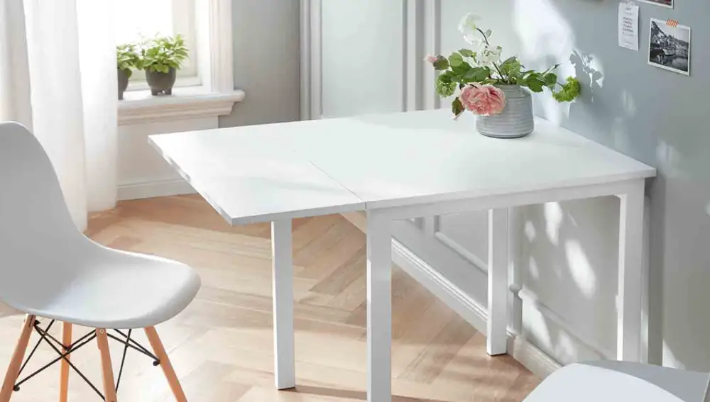 Mesa extensible Lidl