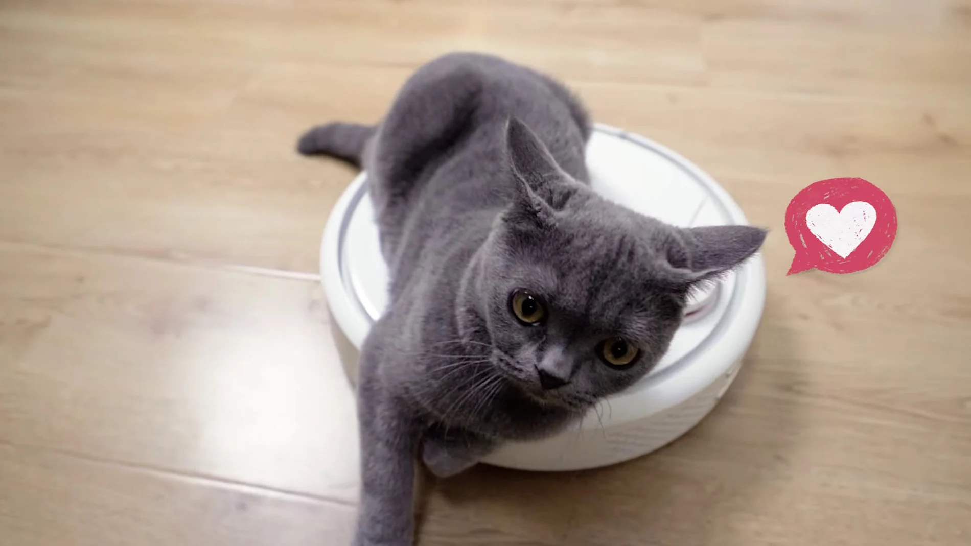El Xiaomi Robot Vacuum S20 elimina fácilmente el polvo y el pelo del suelo