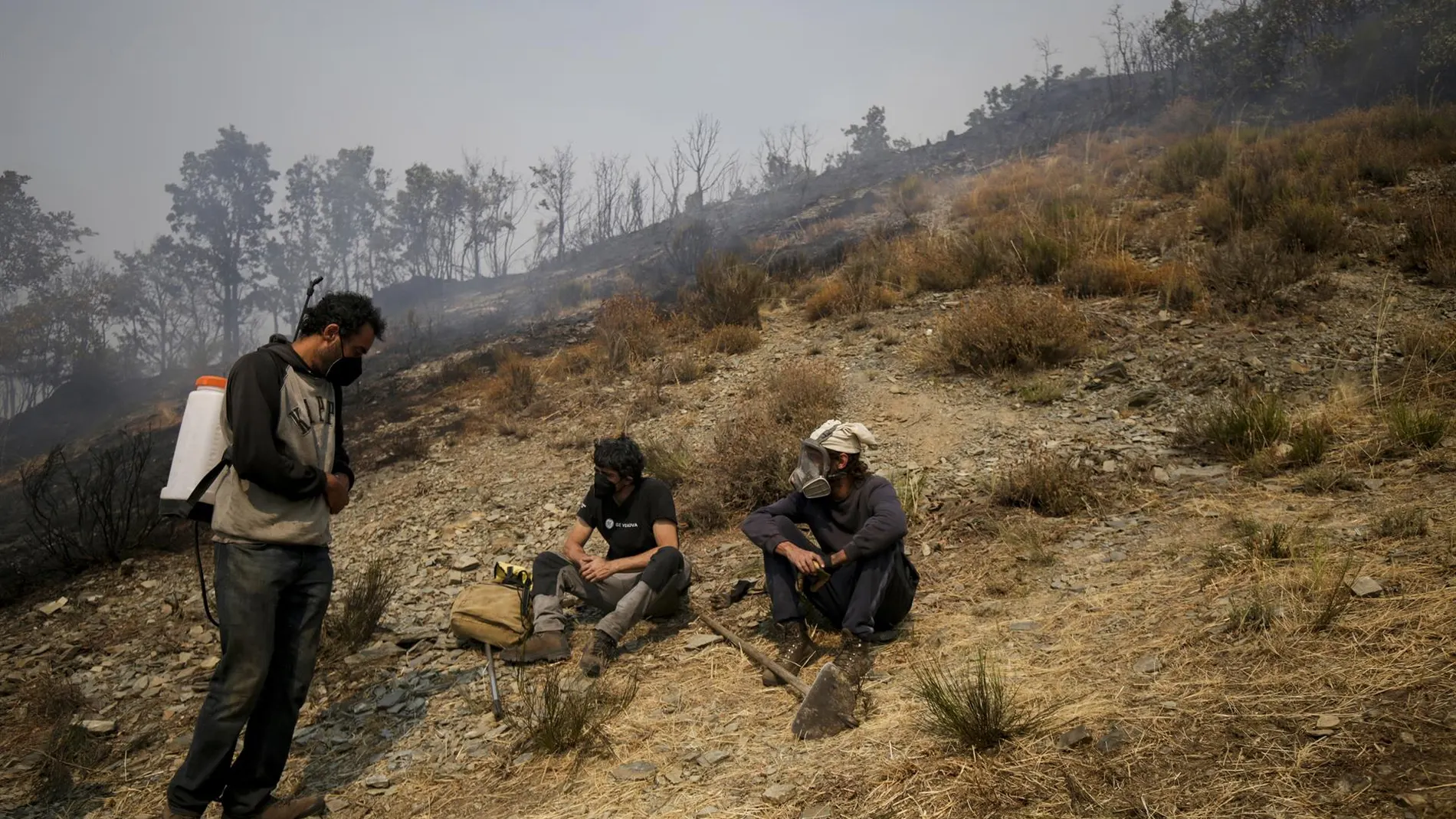 Controlados los tres incendios de León y el de Palencia en cuya extinción colabora Cantabria