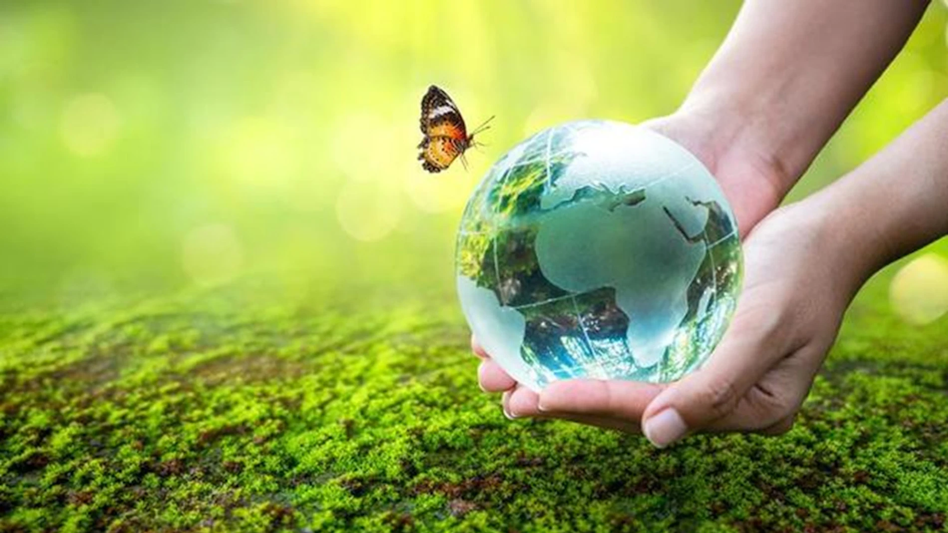 Consejos para cuidar el planeta