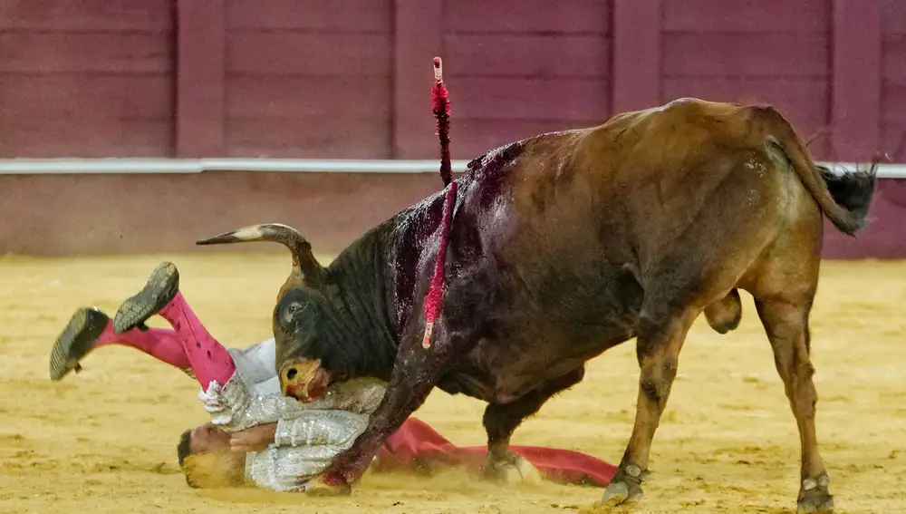 Cogida de David de Miranda en el sexto