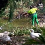 Murcia intensifica las labores de mantenimiento y limpieza en fuentes y lagos durante el verano