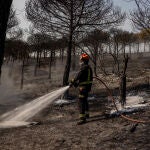 Estabilizado el incendio de Comenar Viejo (Madrid) tras quemar 160 hectáreas