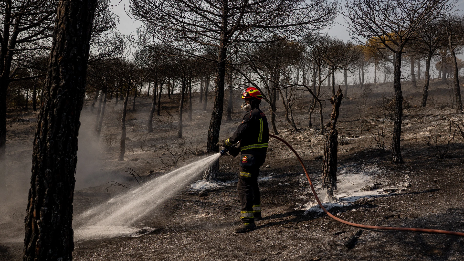 COLMENAR VIEJO (MADRID), 19/08/2025.- Un bombero enfría un área de superficie quemada por el incendio que se inició en la tarde del lunes en Colmenar Viejo y que hasta el momento ha quemado 160 hectáreas de terreno y que está ya estabilizado. EFE/ Daniel Gonzalez