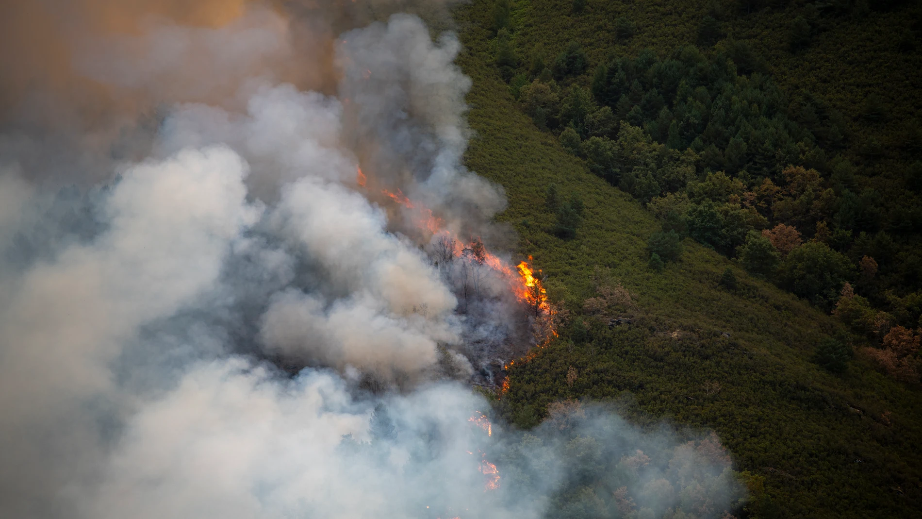 El fuego del incendio avanza por la montaña en la localidad de Villarubín, a 19 de agosto de 2025, en Villarrubín, León, Castilla y León (España). El ayuntamiento de Oencia ha hecho un llamamiento por redes sociales para que los vecinos de Oencia y Villarrubín que puedan ayuden en las labores contra el incendio con maquinaria, con bombas o con lo que puedan para evitar que se quemen los pueblos de la zona. El fuego llegó al municipio el pasado sábado, 16 de agosto, por la localidad de Gestoso...
