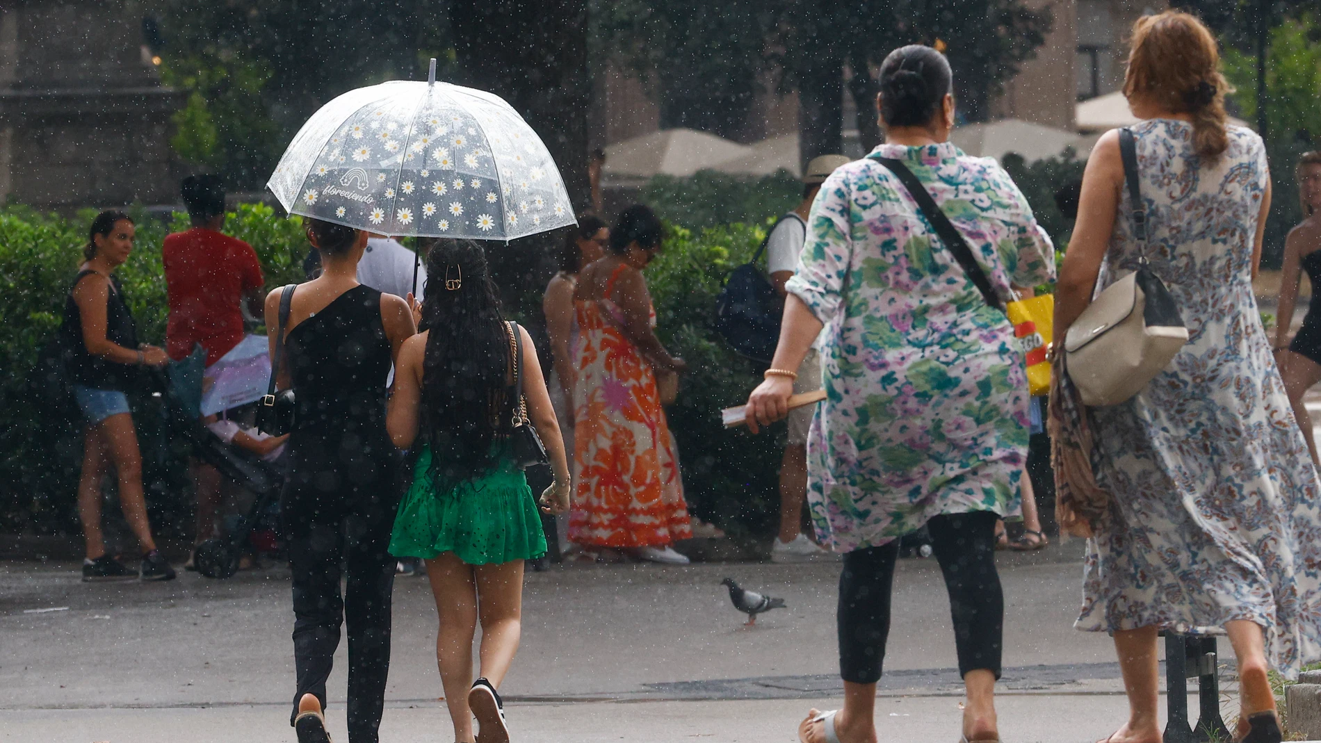 GRAFCAT1228. BARCELONA (ESPAÑA), 19/08/2025.- Aunque ligeras de momento, este martes han caído sobre Barcelona las primeras y necesarias lluvias tras la ola de calor que ha afectado a la península durante los últimos días, y que han dejado temperaturas de récord, especialmente reseñables durante las noches, cuando han rondado los 30 grados.EFE/ Quique García