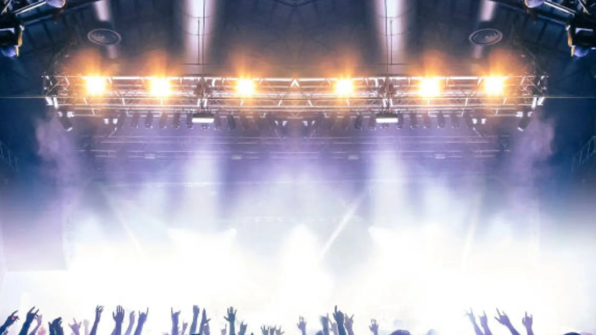 Imagen de personas en un concierto