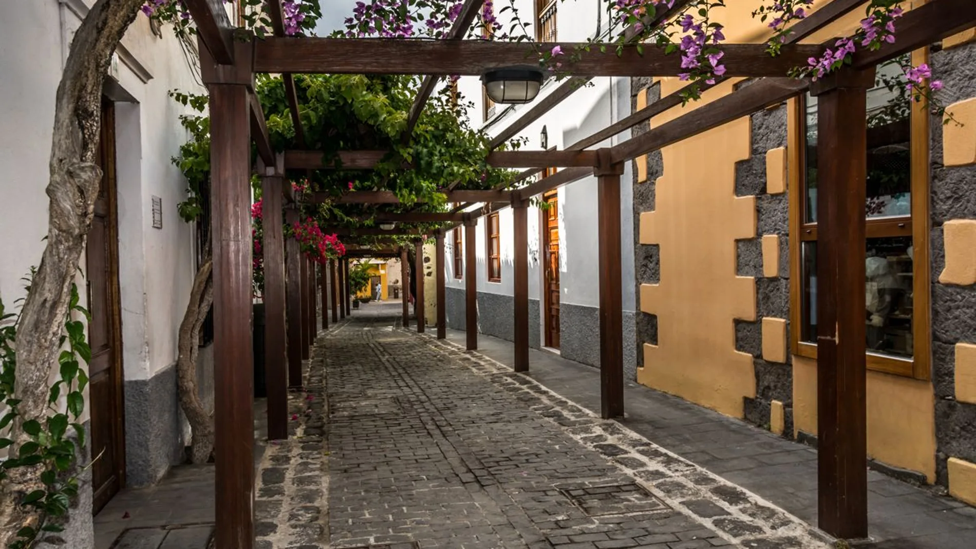 Santa Brígida