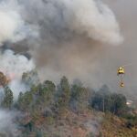La SEE alerta de que el humo de los incendios forestales puede aumentar la mortalidad por causas respiratorias
