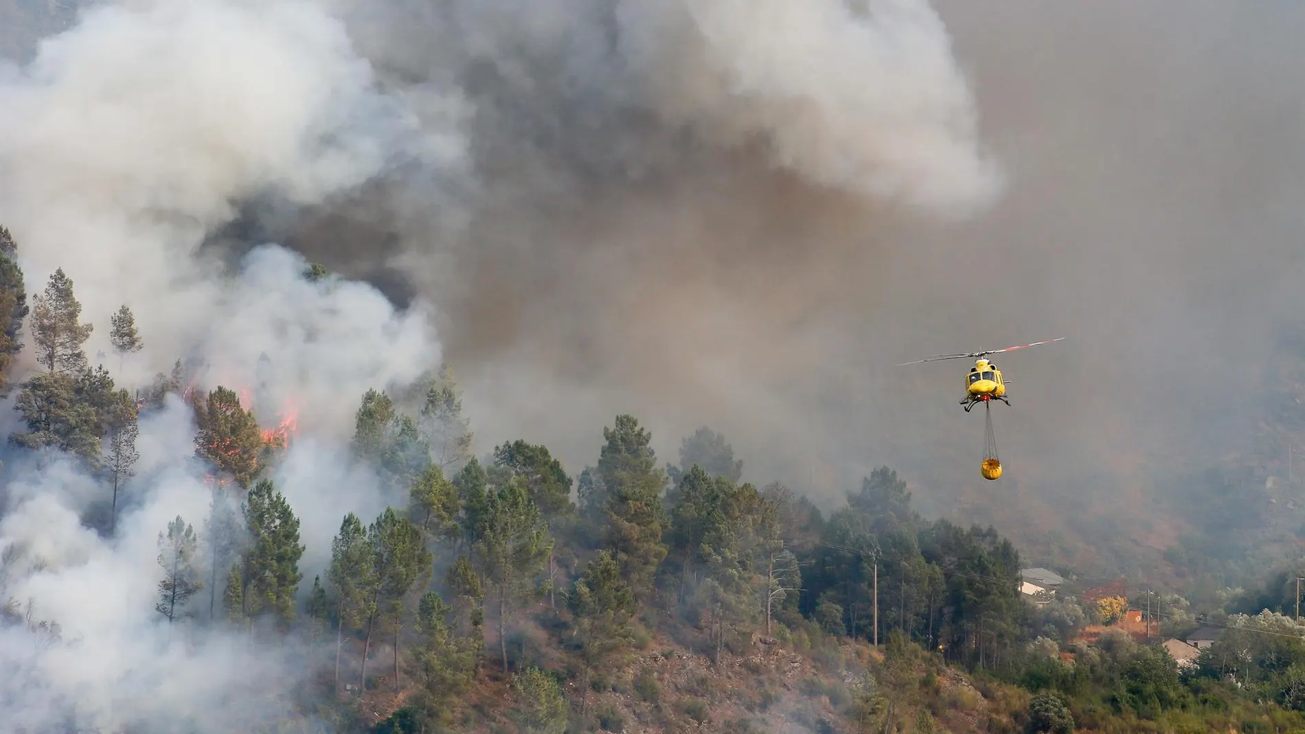 La SEE alerta de que el humo de los incendios forestales puede aumentar la mortalidad por causas respiratorias