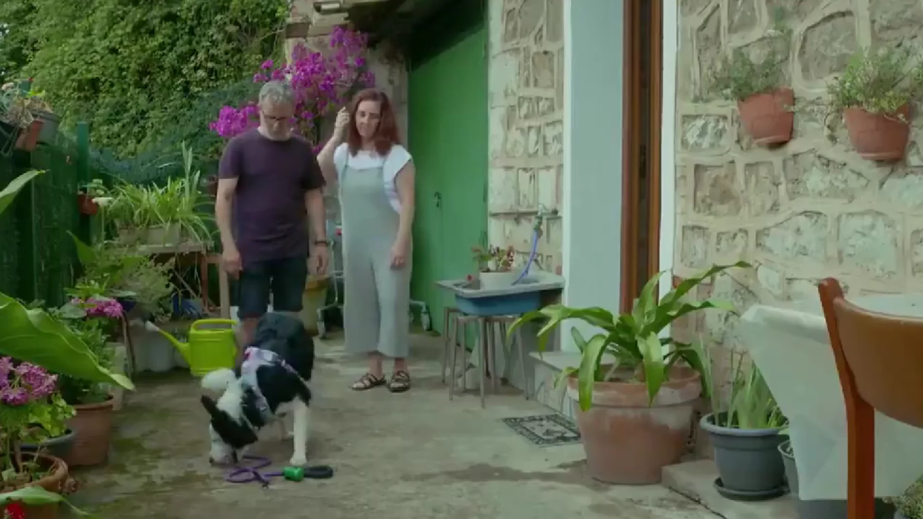 Sexta entrega de 'Dog House'
