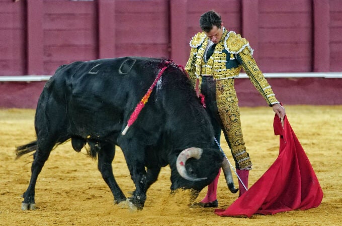 El diestro Daniel Luque 