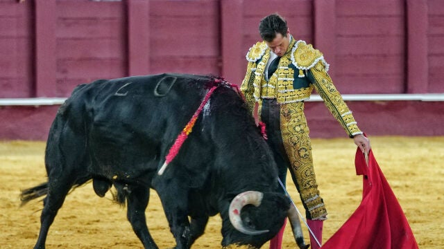 El diestro Daniel Luque 