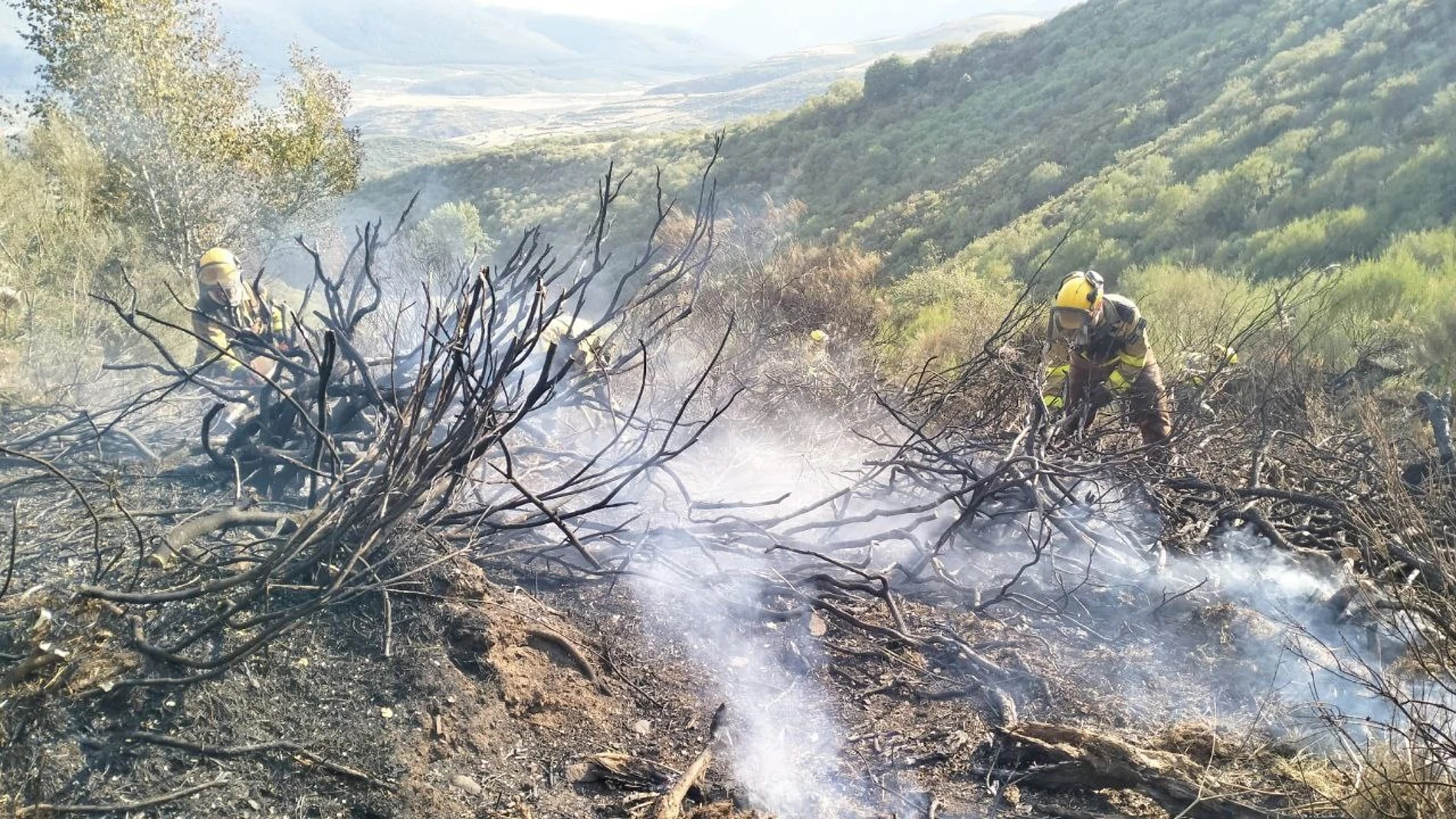 Efectivos en el incendio forestal de Barniedo de la Reina combaten su propagación