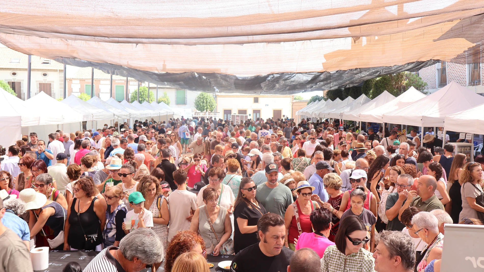 Cientos de asistentes participaron en esta cita tomatera