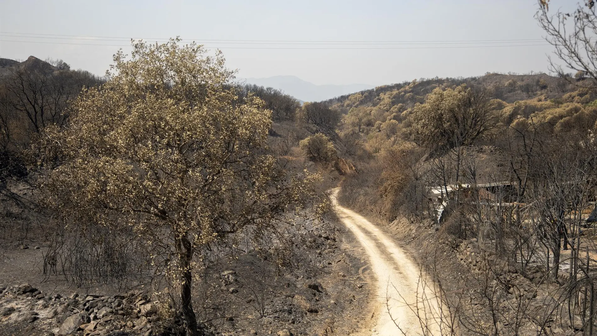 León acumula 16 incendios este domingo