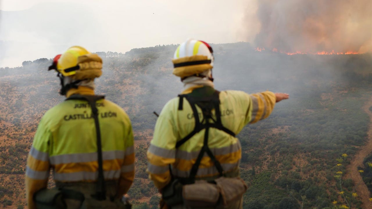 Incendios en España hoy, en directo: focos activos y última hora en Castilla y León, Galicia y Asturias