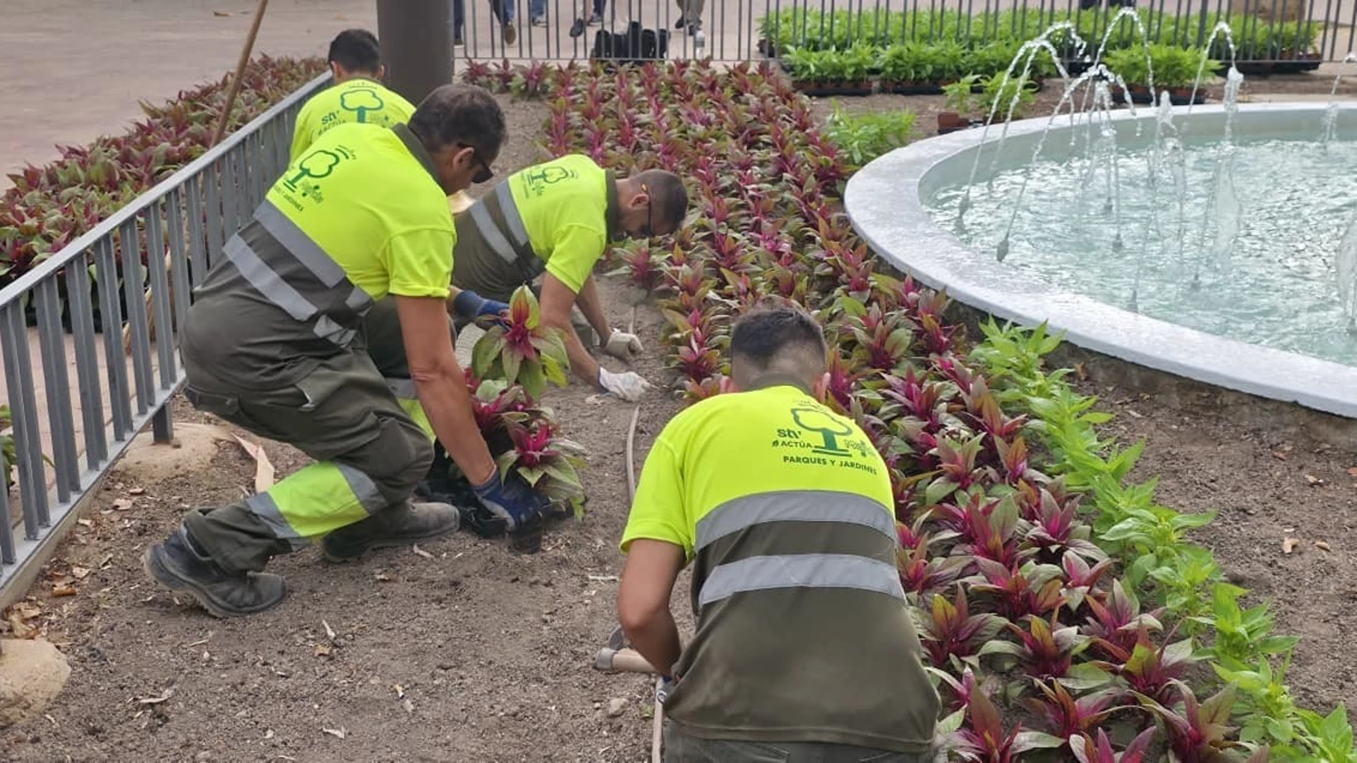 Cerca de 130.000 flores de temporada embellecerán las zonas verdes de Murcia durante la Feria de Septiembre