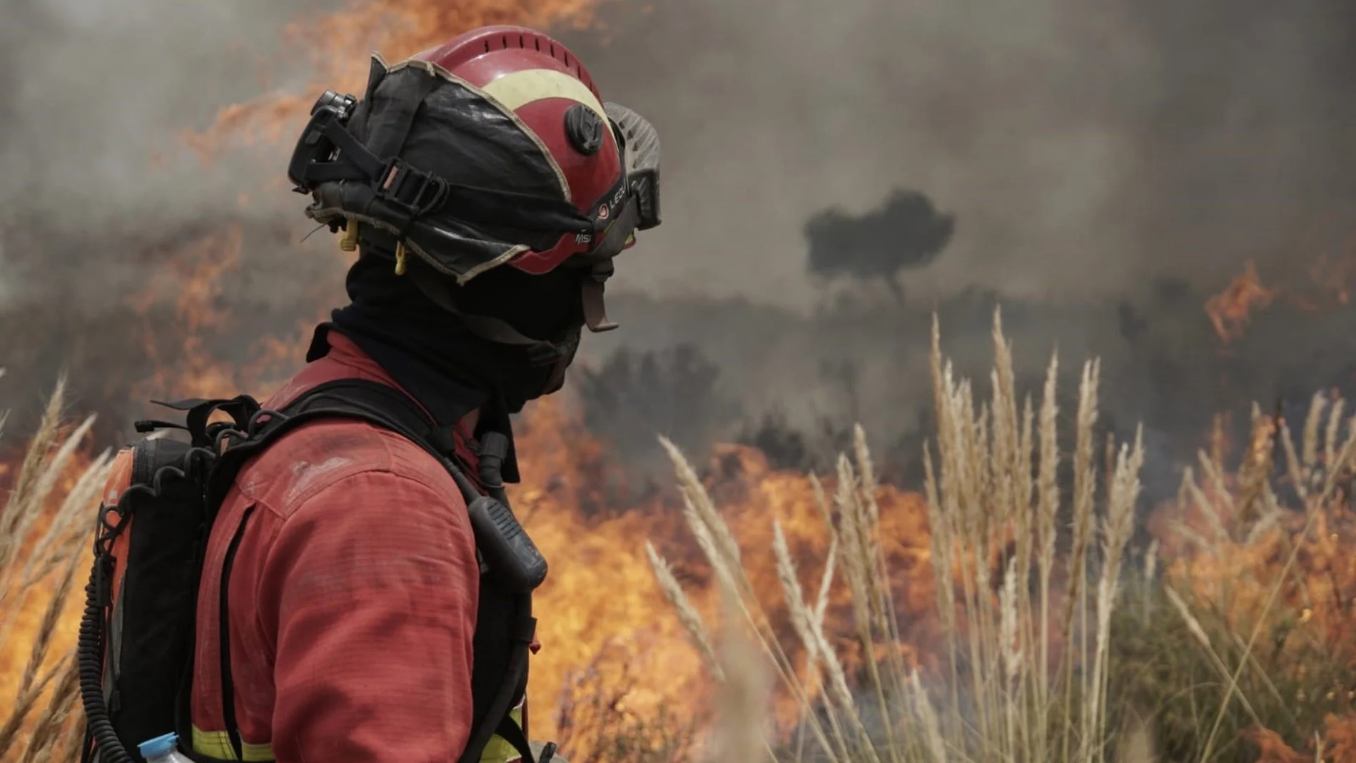 El Ministerio Defensa ha desplegado hasta el momento a 5.600 militares y más de 2.000 medios por los incendios