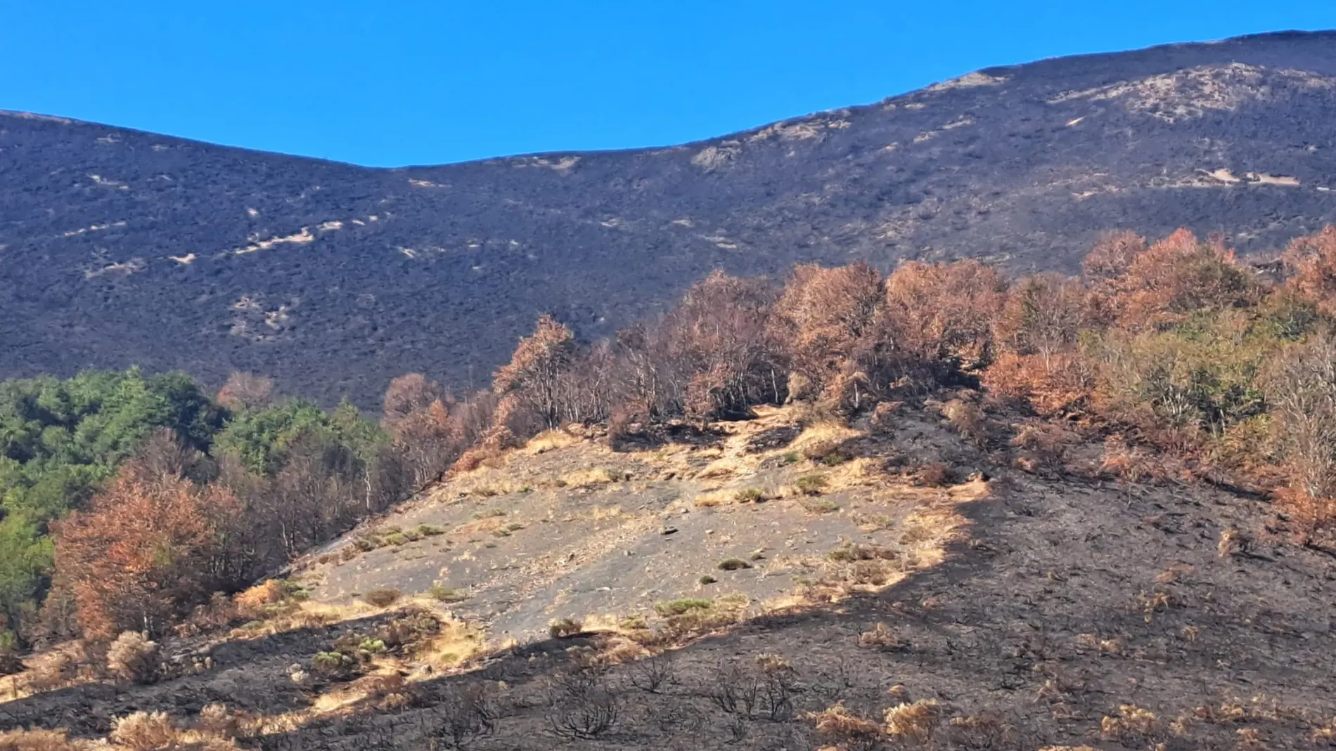 Efectos del incendio en el Parque de Picos de Europa