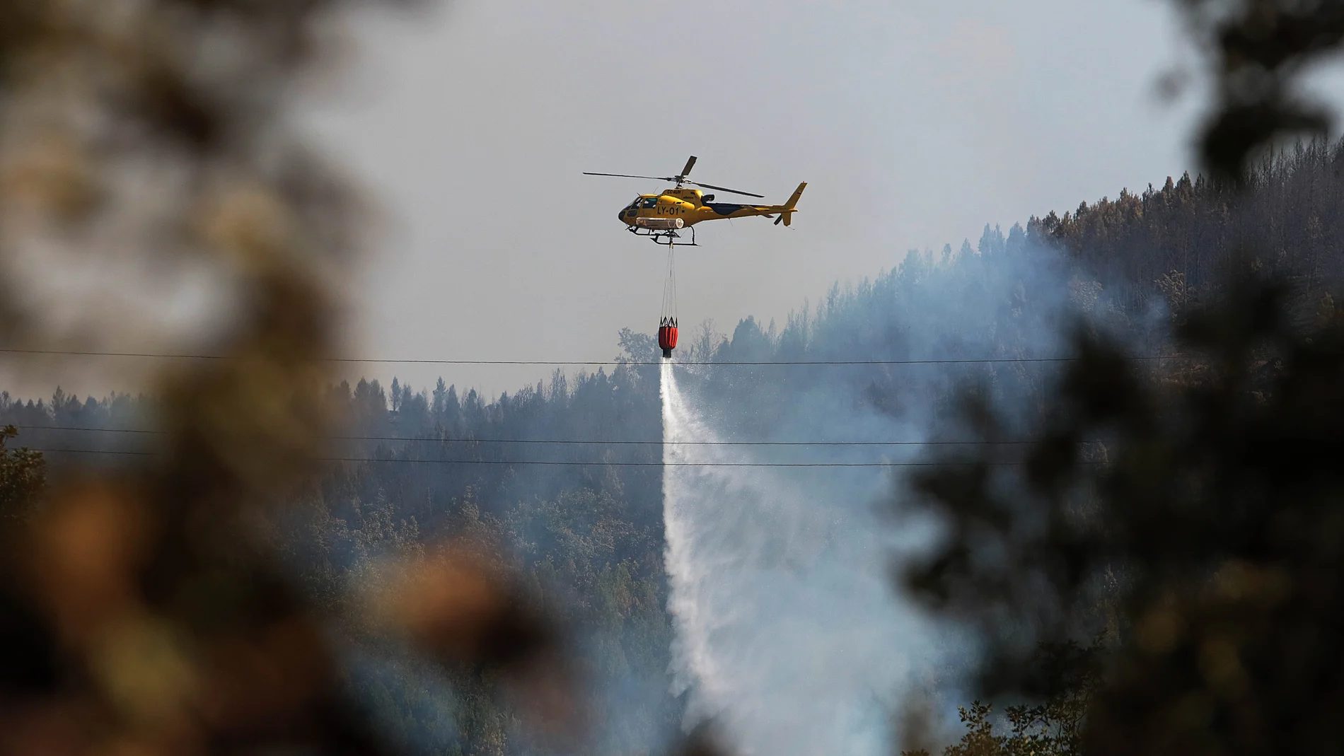 Incendio en Gareño (León)