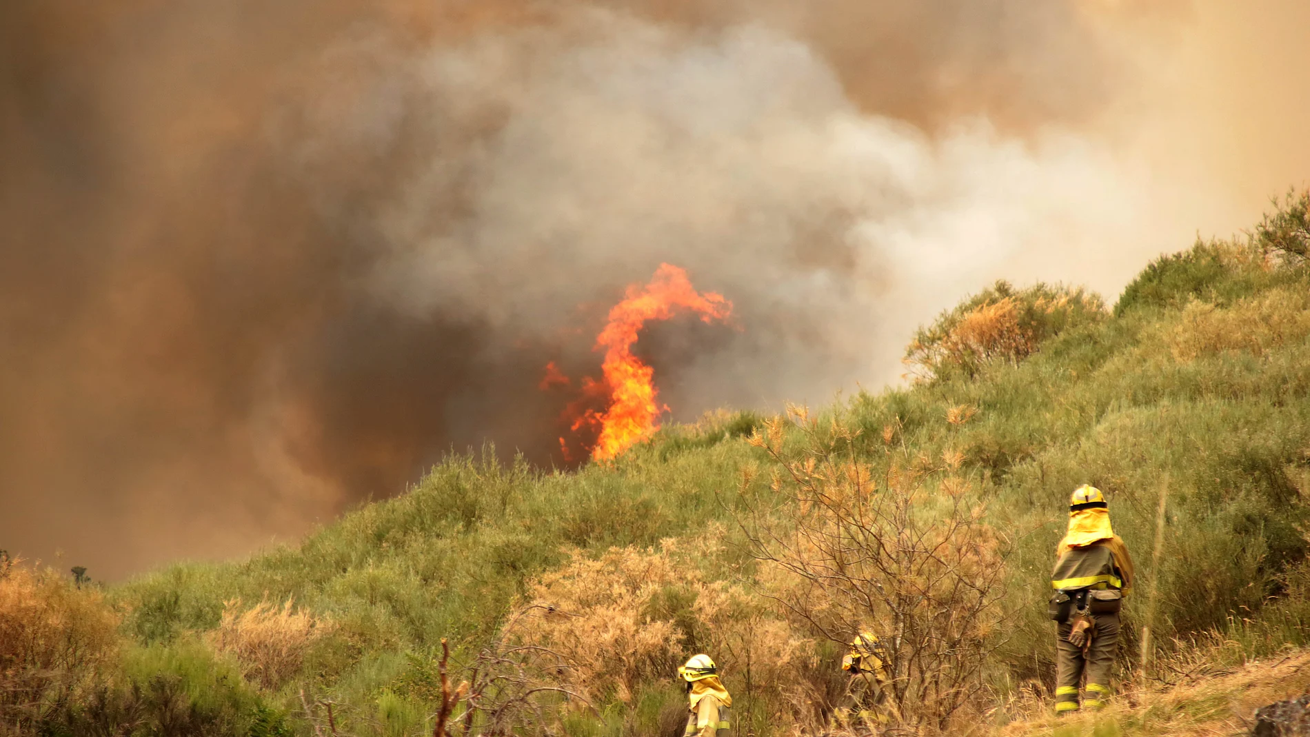 Incendio forestal en la provincia de León