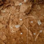 Atapuerca fue escenario del caso mas antiguo de caza comunal