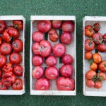 Cómo conservar los tomates más tiempo