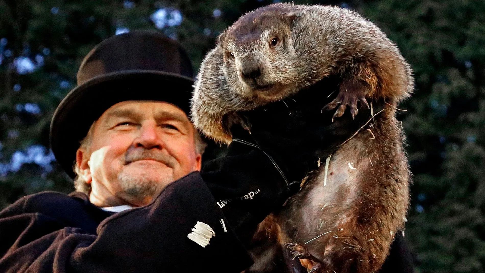 Qué sería un viaje a Punxsutawney sin visitar a Phil. Llega el día de la marmota
