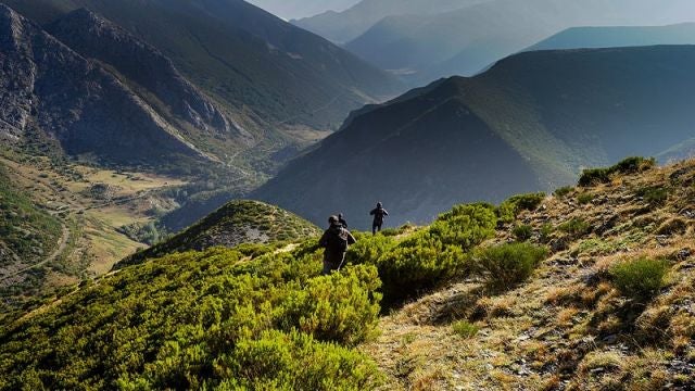 Picos de Europa