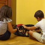 Más requisitos beneficiosos para las familias de acogida