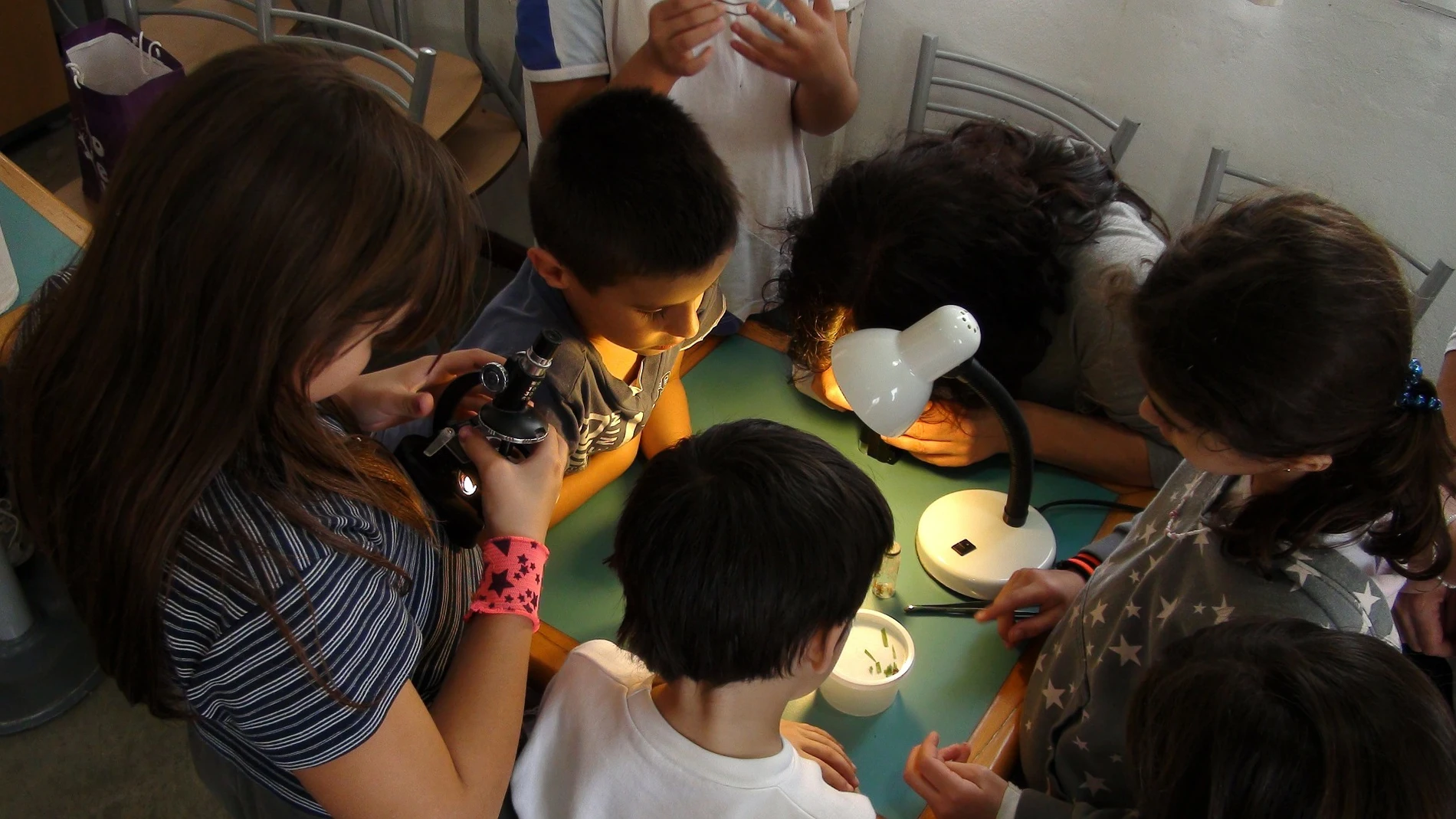 Un grupo de niños en una actividad científica